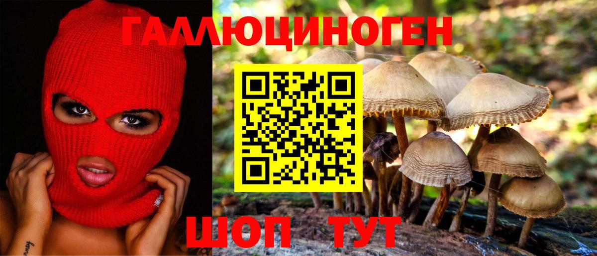 Галлюциногенные грибы Psilocybine cubensis Екатеринбург